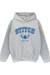 Sweat à capuche coton Stitch disney Gris chiné 1 - vertbaudet enfant 