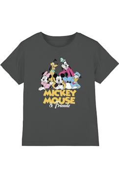 Garçon-T-shirt, polo, sous-pull-T-shirt motifs mickey mouse et ses amis coton disney