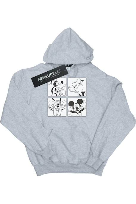 Sweat à capuche coton disney Gris chiné 1 - vertbaudet enfant 