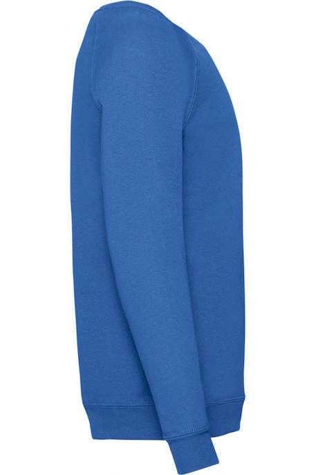 Sweat enfant coton classic Bleu marine sombre+Bleu roi+Bordeaux+Rouge+Tournesol 6 - vertbaudet enfant 