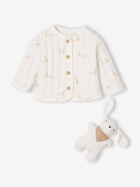 Veste bébé matelassée en velours + doudou coffret cadeau naissance écru 3 - vertbaudet enfant 
