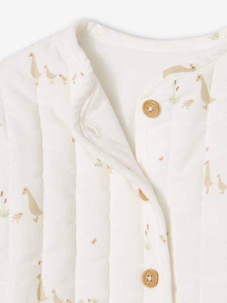 Veste bébé matelassée en velours + doudou coffret cadeau naissance écru 5 - vertbaudet enfant 