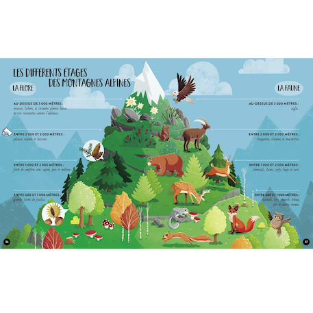 Méga atlas de la terre Vert 5 - vertbaudet enfant 
