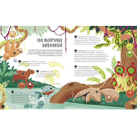Méga atlas de la terre Vert 4 - vertbaudet enfant 