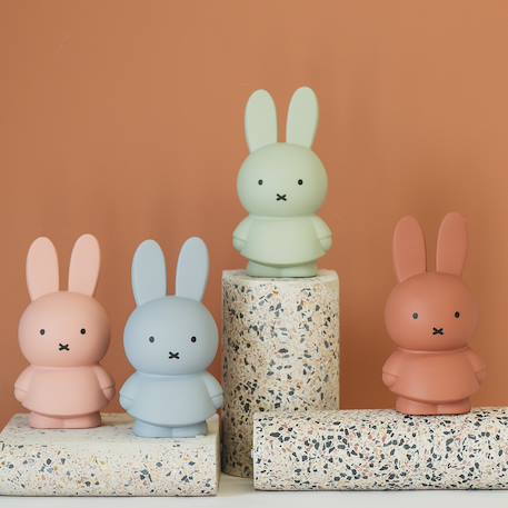 Tirelire miffy Beige+Marron+Rose+Vert, noir 11 - vertbaudet enfant 