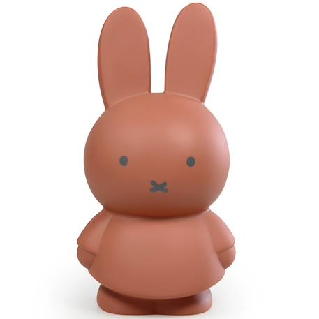 Tirelire miffy Beige+Marron+Rose+Vert, noir 6 - vertbaudet enfant 