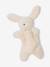 Ensemble naissance combinaison + doudou beige chiné 4 - vertbaudet enfant 
