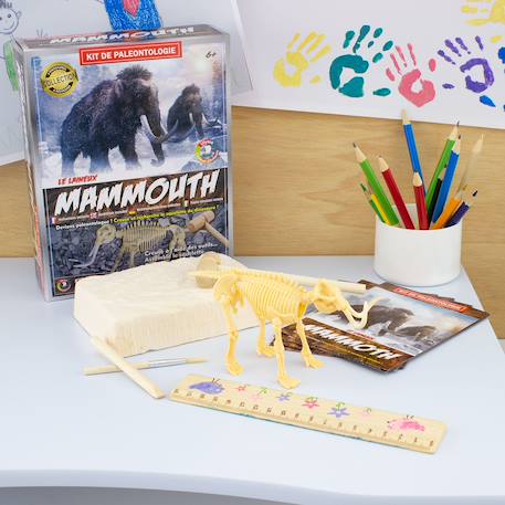 Kit paleo - mammouth Marron 2 - vertbaudet enfant 