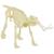 Kit paleo - mammouth Marron 3 - vertbaudet enfant 