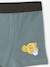 Lot de 5 boxers Disney Le Roi Lion Assortis 11 - vertbaudet enfant 