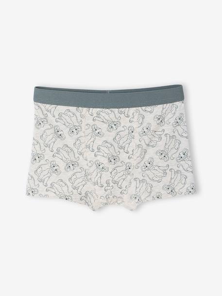 Lot de 5 boxers Disney Le Roi Lion Assortis 3 - vertbaudet enfant 