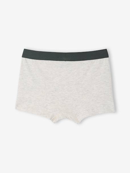 Lot de 5 boxers Disney Le Roi Lion Assortis 7 - vertbaudet enfant 