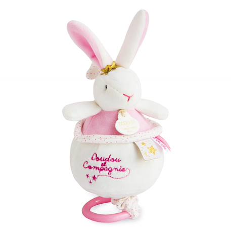 Boite à musique lapin fleurs Rose 1 - vertbaudet enfant 