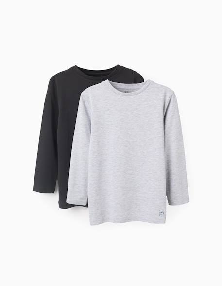 Garçon-Lot de 2 t-shirts en coton à manches longues