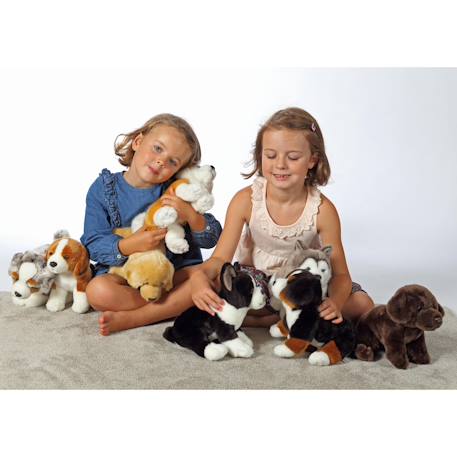 Peluche - chien réaliste assis, bouvier bernois  25 cm Marron 2 - vertbaudet enfant 