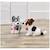 Peluche chien husky 21 cm Gris 4 - vertbaudet enfant 