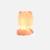 Veilleuse Dino Light Multi couleur - Veilleuse Led rechargeable usb-c - MOB Rose et orange 2 - vertbaudet enfant 
