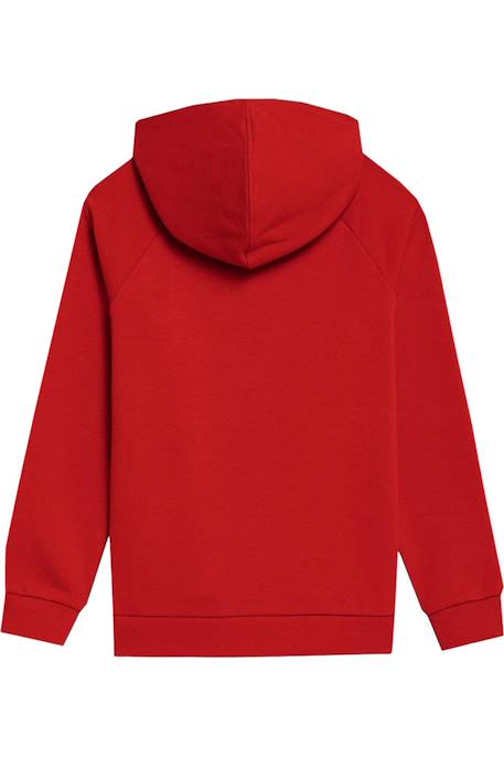 Sweat à capuche Rouge+Vert 2 - vertbaudet enfant 