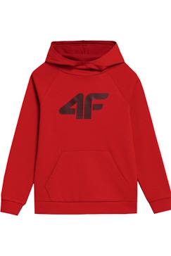 -Sweat à capuche