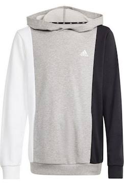 -Sweat à capuche coton