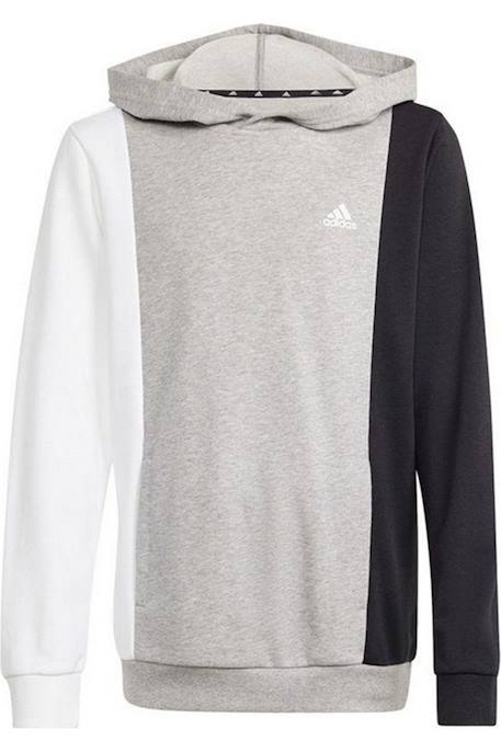 Garçon-Pull, gilet, sweat-Sweat à capuche coton