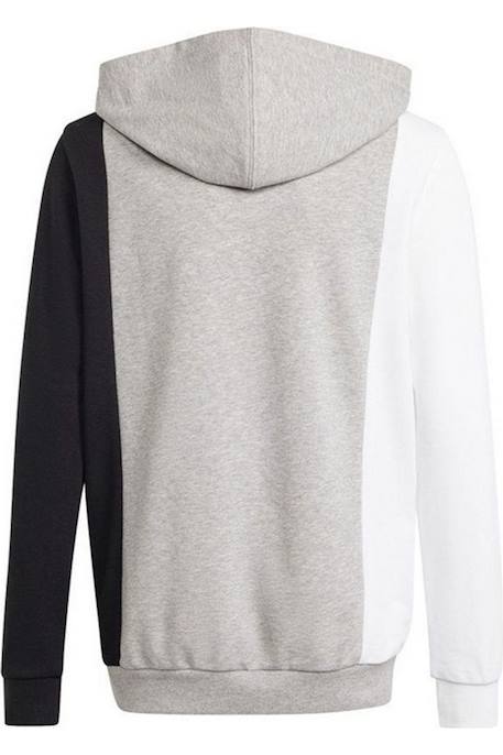 Sweat à capuche coton Blanc / noir / gris 2 - vertbaudet enfant 