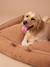 Panier matelassé en velours pour chien, disponible en 3 tailles camel 1 - vertbaudet enfant 