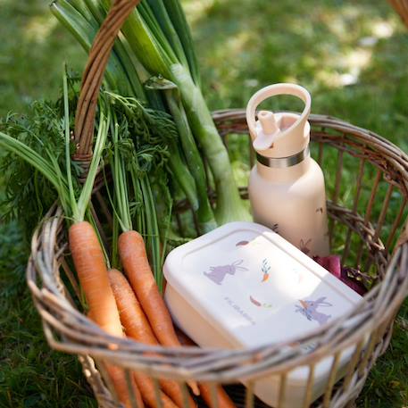 Gourde en acier inoxydable lapin Beige 3 - vertbaudet enfant 