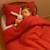 Housse de couette en coton bio Blanc+Fraise+Honey+Rose+Vert+Vichy 8 - vertbaudet enfant 