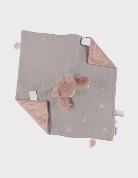 Doudou ours jour & nuit – lily Rose 3 - vertbaudet enfant 