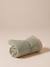 Tapis / plaid nomade pour chien marron imprimé+rayé vert 9 - vertbaudet enfant 