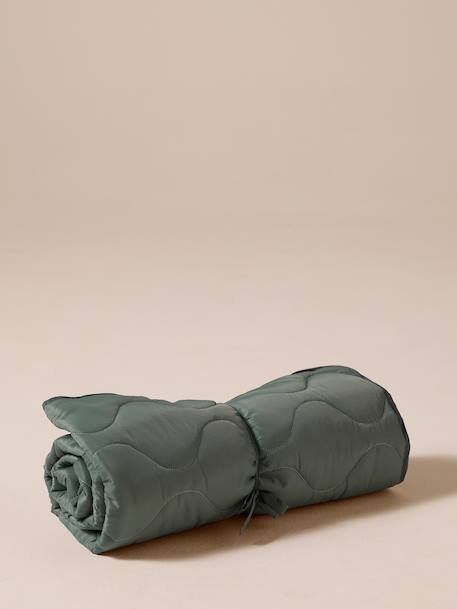 Plaid nomade enroulable pour chien vert 1 - vertbaudet enfant 