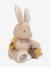 Peluche d'activités Lapin - Newborn beige 4 - vertbaudet enfant 
