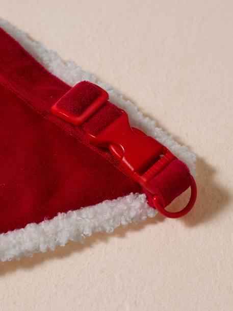 Collier bandana + bonnet de Noël pour chien rouge 8 - vertbaudet enfant 