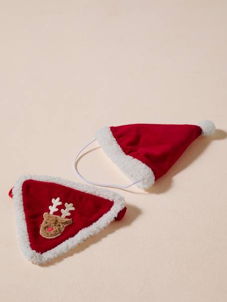 Collier bandana + bonnet de Noël pour chien rouge 4 - vertbaudet enfant 