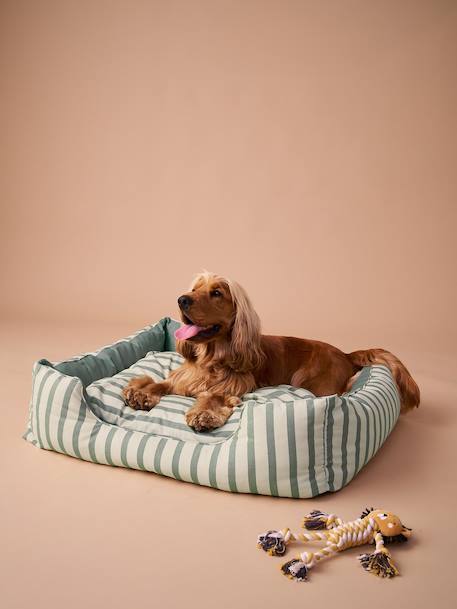 Panier en toile de coton pour chien rayé vert 1 - vertbaudet enfant 