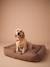 Panier matelassé en velours pour chien, disponible en 3 tailles camel 3 - vertbaudet enfant 