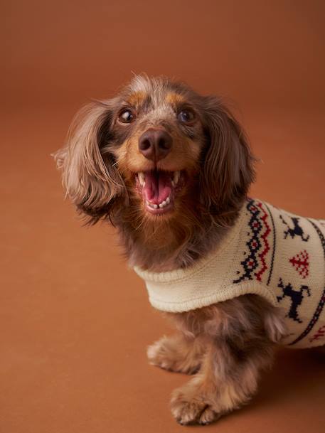 Pull de Noël pour chien rouge 4 - vertbaudet enfant 