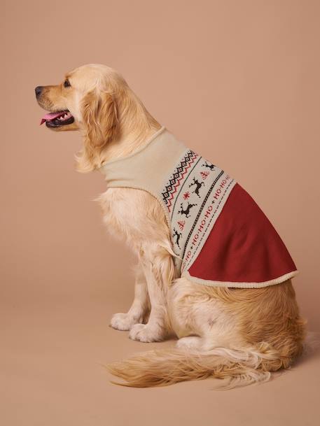 Pull de Noël pour chien rouge 3 - vertbaudet enfant 