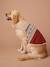 Pull de Noël pour chien rouge 3 - vertbaudet enfant 