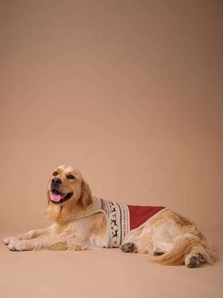Pull de Noël pour chien rouge 2 - vertbaudet enfant 