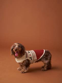 Linge de maison et décoration-Décoration-Animaux de compagnie-Pull de Noël pour chien