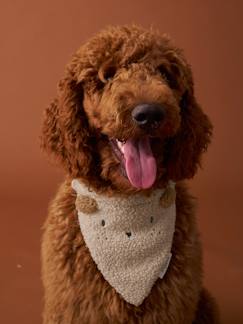 Linge de maison et décoration-Décoration-Collier bandana pour chien