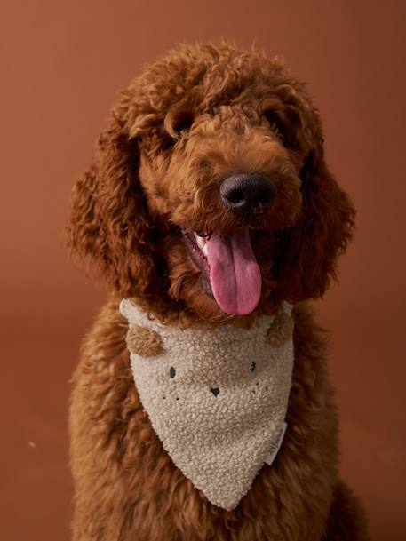 Collier bandana pour chien écru 1 - vertbaudet enfant 