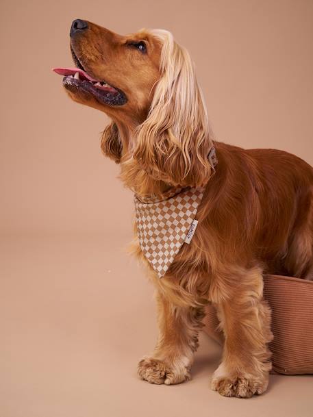 Collier bandana à damier pour chien carreaux marron 2 - vertbaudet enfant 