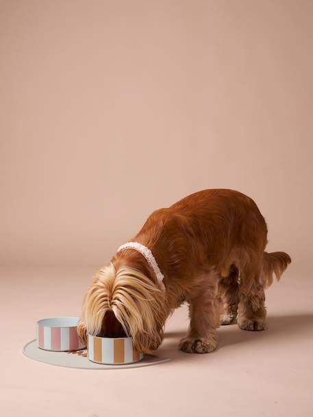 Gamelle en céramique pour chien blanc imprimé+camel+rayé rose 6 - vertbaudet enfant 