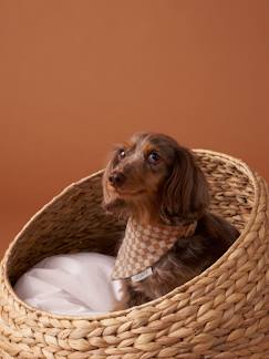 Linge de maison et décoration-Décoration-Animaux de compagnie-Collier bandana à damier pour chien