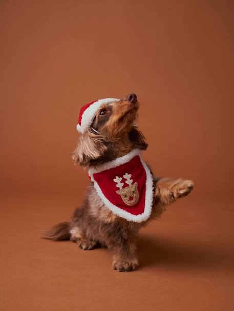 Collier bandana + bonnet de Noël pour chien rouge 2 - vertbaudet enfant 