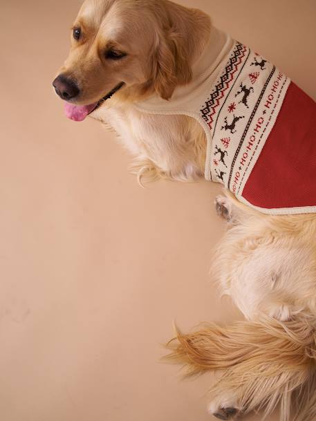 Pull de Noël pour chien rouge 5 - vertbaudet enfant 