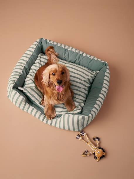 Panier en toile de coton pour chien rayé vert 2 - vertbaudet enfant 